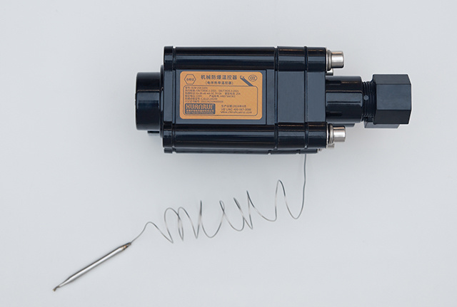 BJW電伴熱防爆溫度控制器